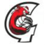 CSS VSK Gheorgheni logo