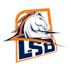 Liga Sorocabana 1D logo - Brazil Sao Paulo Cup Fr Avare Vs Liga Sorocabana D Sport