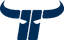 Kapfenberg Bulls logo