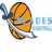 Blades logo