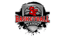 SFG Basket Academy logo