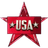 USA Stars logo