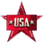 USA Stars logo