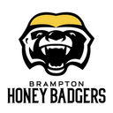 Honey Badgers logo - Future Stars Game Honey Badgers Vs Australia Select Basketball