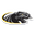 TigerScores365 live score, sport predictions, fixtures and odds - Ncaa University Of Wisconsinmilwaukee Vs Tbd Scores