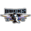 Beijing Shougang Ducks logo