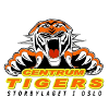 Centrum Tigers logo - Live Firiligaen Fyllingen Vs Centrum Tigers