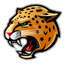 IU Indianapolis (W) logo