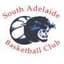 South Adelaide Panthers logo