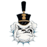The Citadel logo