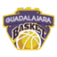 Lujisa Guadalajara logo