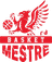 Gemini Mestre logo