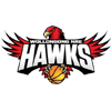 lllawarra Hawks logo