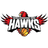 lllawarra Hawks logo