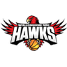 lllawarra Hawks logo