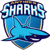 Antibes logo - Ligue Nationale De Basket Pro B Antibes Vs Ada Blois Results