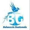 Guatemala Maxi Women logo - Guatemala Maxi Fem Women Alta Verapaz Maxi Women Vs Guatemala Maxi Women Live Basketball