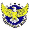 Forestville Eagles Women logo - Wnbl Center Forestville Eagles Women Vs Southern Tigers Women Basketball