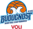 KK Buducnost logo
