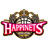 Akita Northern Happinets logo