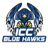 Immaculada Concepcion College logo