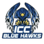 Immaculada Concepcion College logo