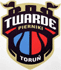 Siden Torun logo