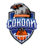 Kharkivski Sokoly logo