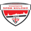 Tesvikiye logo