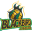 Shanghai Blackbird logo