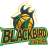 Shanghai Blackbird logo