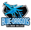 DC Blue Dragon logo