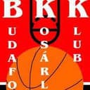 Budafok U23 logo - Hungary Nb Ll Budafok U Vs Csepel Live Score