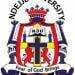 Ndejje Angels logo - Uganda Div Miracle Eagles Vs Ndejje Angels Result
