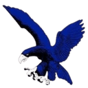ADMU Blue Eagles U19 logo - Live Philippines Uaap U Feudiliman Baby Tamaraws U Vs Admu Blue Eagles U