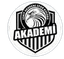 Izmit Akademi logo