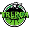 Trepca logo