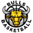Franklin Bulls logo
