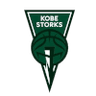 Kobe Storks logo