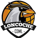 Municipal Loncoche SAESA logo - Chile Liga Saesa Municipal Loncoche Saesa Vs San Francisco Asis Saesa Sport