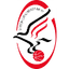 Szolnoki Olajbanyasz logo