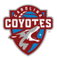 Carolina Coyotes logo