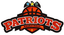 Patriots logo