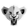 Lyonso Basket logo