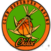 Castro SAESA logo - Chile Liga Saesa Castro Saesa Vs Cd Escolar Aleman Pv Sport