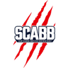 Saint-Chamond logo