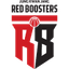 Anyang Red Boosters Reserves logo