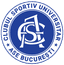 ASE Bucharest logo
