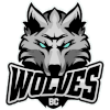 BC Wolves logo - Lkl Bc Wolves Vs Jonava Live Basketball