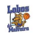 Lobos Da Malviera (W) logo - Portuguese Div W Cup Lobos Da Malviera W Vs Abrantes Women Schedule